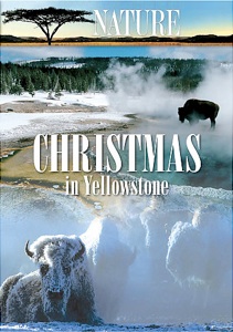 Nature, Christmas in Yellowstone