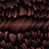 Gimp Desktop Pattern - 45