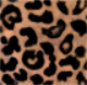 Gimp Desktop Pattern - 91