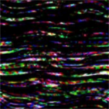 Gimp Desktop Pattern - 111