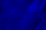 Desktop Pattern Starfishx Black & Blue 150x100 - 2