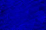 Desktop Pattern Starfishx Black & Blue 150x100 - 11
