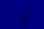 Desktop Pattern Starfishx Black & Blue 150x100 - 16