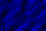 Desktop Pattern Starfishx Black & Blue 150x100 - 18