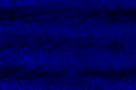 Desktop Pattern Starfishx Black & Blue 150x100 - 29