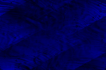 Desktop Pattern Starfishx Black & Blue 150x100 - 42