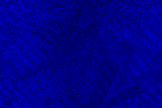 Desktop Pattern Starfishx Black & Blue 150x100 - 55