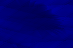 Desktop Pattern Starfishx Black & Blue 150x100 - 60