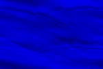 Desktop Pattern Starfishx Black & Blue 150x100 - 109