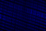 Desktop Pattern Starfishx Black & Blue 150x100 - 121