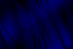Desktop Pattern Starfishx Black & Blue 150x100 - 144