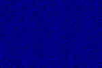 Desktop Pattern Starfishx Black & Blue 150x100 - 145