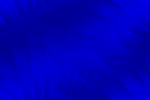 Desktop Pattern Starfishx Black & Blue 150x100 - 152