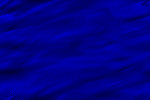 Desktop Pattern Starfishx Black & Blue 150x100 - 171