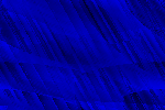 Desktop Pattern Starfishx Black & Blue 150x100 - 197
