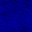 Desktop Pattern Starfishx Black & Blue 32x32 - 3