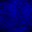 Desktop Pattern Starfishx Black & Blue 32x32 - 13