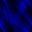 Desktop Pattern Starfishx Black & Blue 32x32 - 64
