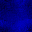 Desktop Pattern Starfishx Black & Blue 32x32 - 171