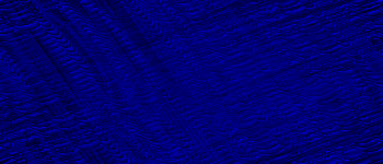 Desktop Pattern Starfishx Black & Blue 350x150 - 2