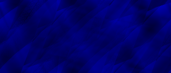 Desktop Pattern Starfishx Black & Blue 350x150 - 4