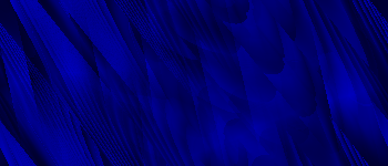 Desktop Pattern Starfishx Black & Blue 350x150 - 44