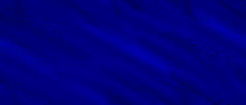 Desktop Pattern Starfishx Black & Blue 350x150 - 49