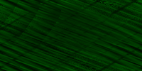 Desktop Pattern Starfishx Black & Green 200x100 - 10