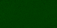 Desktop Pattern Starfishx Black & Green 200x100 - 52