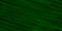 Desktop Pattern Starfishx Black & Green 200x100 - 79