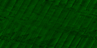 Desktop Pattern Starfishx Black & Green 200x100 - 84