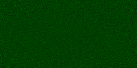 Desktop Pattern Starfishx Black & Green 200x100 - 153