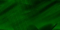 Desktop Pattern Starfishx Black & Green 200x100 - 196