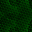 Desktop Pattern Starfishx Black & Green 32x32 - 19