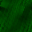 Desktop Pattern Starfishx Black & Green 32x32 - 120