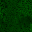 Desktop Pattern Starfishx Black & Green 32x32 - 171