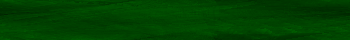 Desktop Pattern Starfishx Black & Green 350x40 - 4