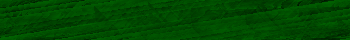 Desktop Pattern Starfishx Black & Green 350x40 - 9