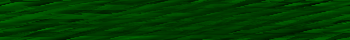 Desktop Pattern Starfishx Black & Green 350x40 - 28