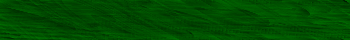 Desktop Pattern Starfishx Black & Green 350x40 - 30