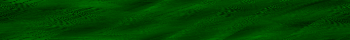 Desktop Pattern Starfishx Black & Green 350x40 - 31