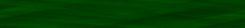 Desktop Pattern Starfishx Black & Green 350x40 - 32