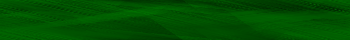Desktop Pattern Starfishx Black & Green 350x40 - 34