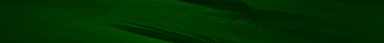 Desktop Pattern Starfishx Black & Green 350x40 - 66