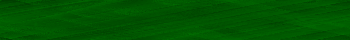 Desktop Pattern Starfishx Black & Green 350x40 - 74