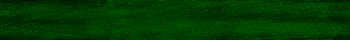 Desktop Pattern Starfishx Black & Green 350x40 - 92