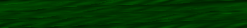 Desktop Pattern Starfishx Black & Green 350x40 - 93