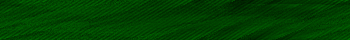 Desktop Pattern Starfishx Black & Green 350x40 - 95