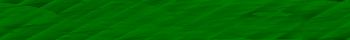 Desktop Pattern Starfishx Black & Green 350x40 - 106