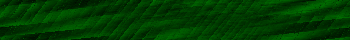 Desktop Pattern Starfishx Black & Green 350x40 - 117